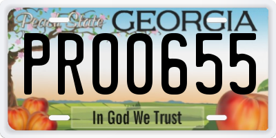 GA license plate PRO0655
