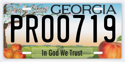 GA license plate PRO0719