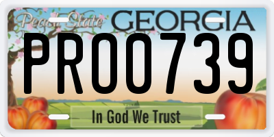 GA license plate PRO0739