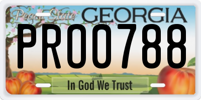 GA license plate PRO0788