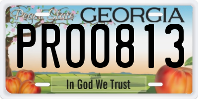GA license plate PRO0813