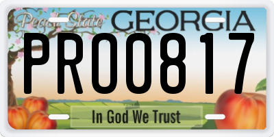 GA license plate PRO0817