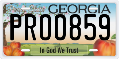 GA license plate PRO0859