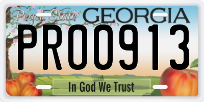 GA license plate PRO0913