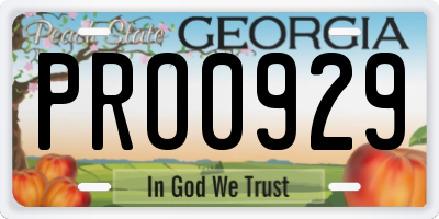 GA license plate PRO0929