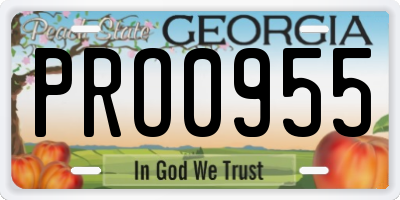 GA license plate PRO0955