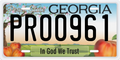GA license plate PRO0961