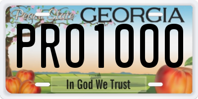 GA license plate PRO1000