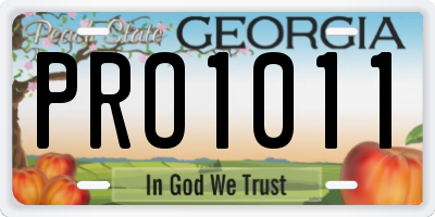 GA license plate PRO1011