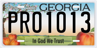 GA license plate PRO1013