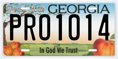 GA license plate PRO1014