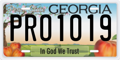 GA license plate PRO1019