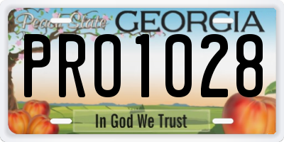 GA license plate PRO1028