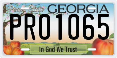 GA license plate PRO1065