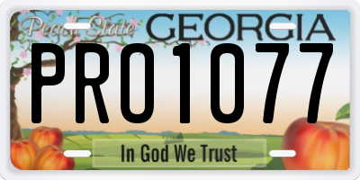 GA license plate PRO1077