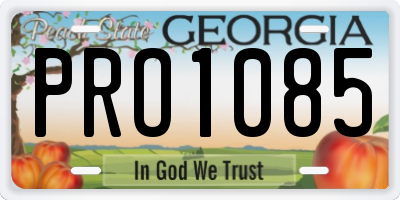GA license plate PRO1085