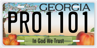 GA license plate PRO1101