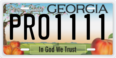 GA license plate PRO1111