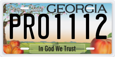 GA license plate PRO1112