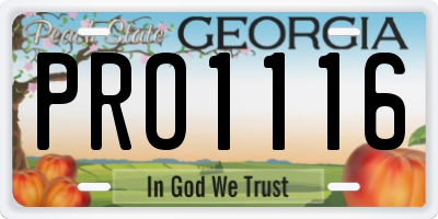 GA license plate PRO1116