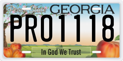 GA license plate PRO1118