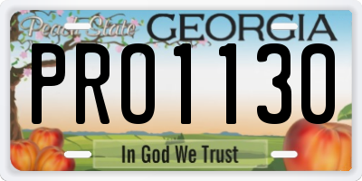 GA license plate PRO1130