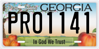 GA license plate PRO1141