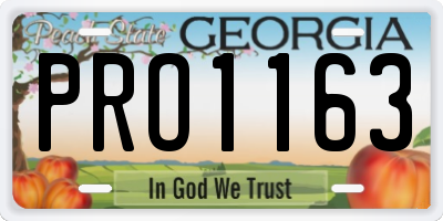 GA license plate PRO1163