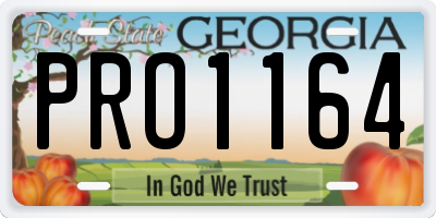 GA license plate PRO1164