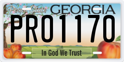 GA license plate PRO1170