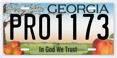 GA license plate PRO1173