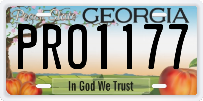 GA license plate PRO1177