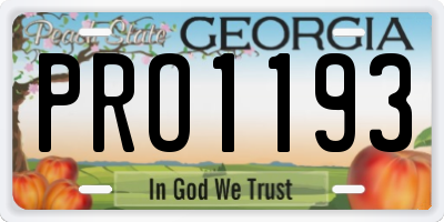 GA license plate PRO1193