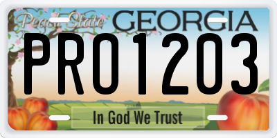 GA license plate PRO1203