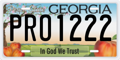 GA license plate PRO1222