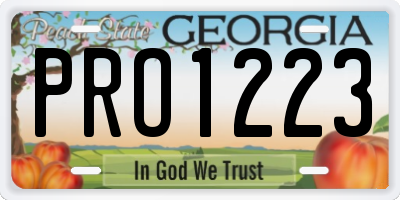 GA license plate PRO1223