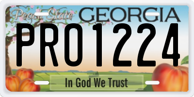 GA license plate PRO1224