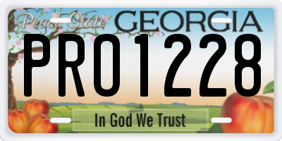 GA license plate PRO1228