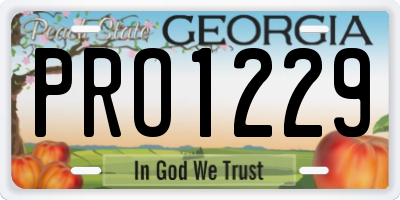 GA license plate PRO1229