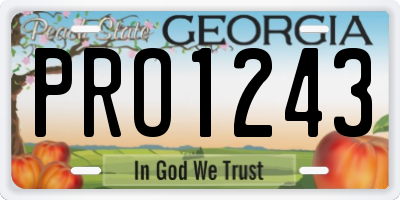 GA license plate PRO1243