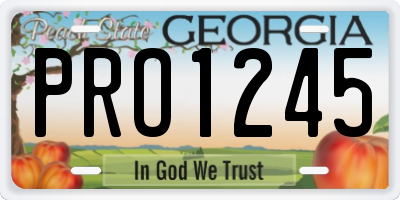 GA license plate PRO1245