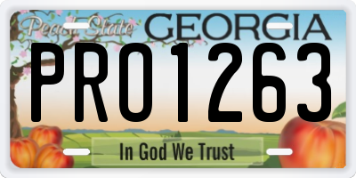 GA license plate PRO1263