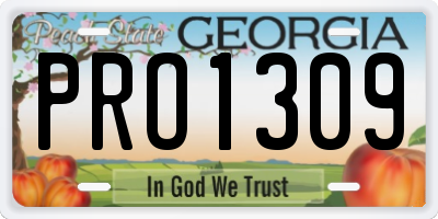 GA license plate PRO1309
