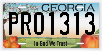 GA license plate PRO1313