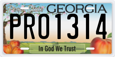 GA license plate PRO1314