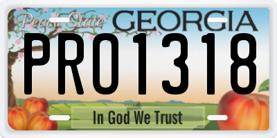 GA license plate PRO1318