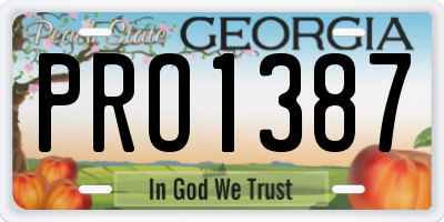 GA license plate PRO1387