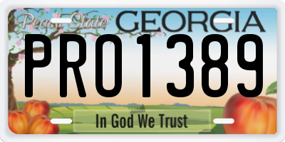 GA license plate PRO1389