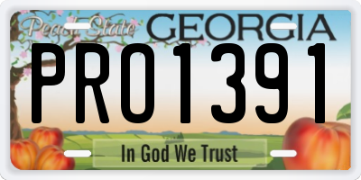 GA license plate PRO1391