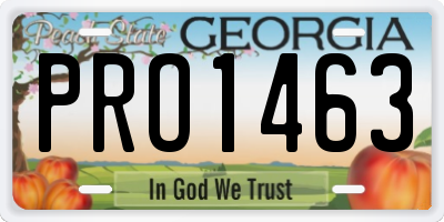 GA license plate PRO1463